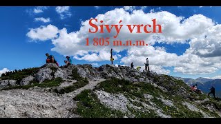 Sivý vrch 1 805 m.n.m.  - 8.6.2024