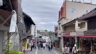 成田山参道【散歩】　Naritasan approach