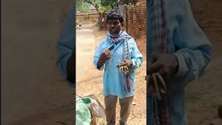 kachcha badam Viral Men Kacha Badam कच्चा बादाम -