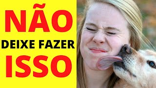 COISAS QUE VOCÊ NÃO DEVE DEIXAR O SEU CACHORRO FAZER