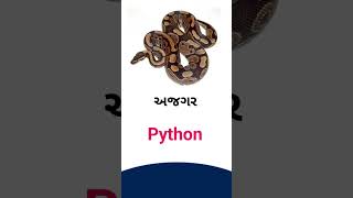 Python meaning in Gujarati - English Dictionary