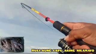 mag harvest ng lapu para pang lamayo | Shore casting | Philippines Fishing EP 23