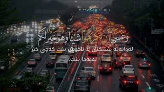 وَعَسَىٰۤ أَن تَكۡرَهُوا۟ شَیۡـࣰٔا وَهُوَ خَیۡرࣱ لَّكُمۡۖ... القارئ ماهير المعيقلي..