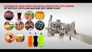 CSD carbonated soft drinks filling & beverage Co2 Mixing carbonator