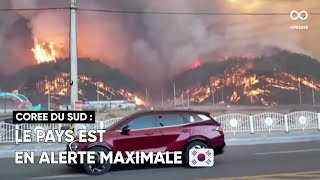 Un  incendie de forêt se déclare près de la centrale nucléaire de Hanul