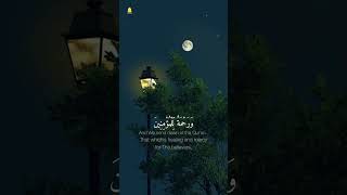 ماشاءالله تلاوة هادئة 🎧😌