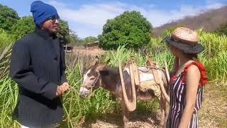 Fazendeiro se apaixona por filha de trabalhador rural !