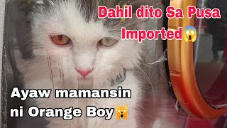 AYAW MAMANSIN NI ORANGE BOY KANINA🙀