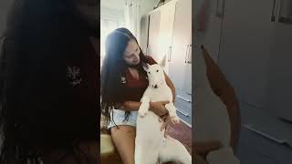 #Porquinha da mamãe #shorts #tiktok #viral