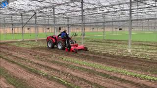 Carraro SN5800 kniktraktor Siriof Celli klepelmaaier versnipperen van radijsblad in volle grond