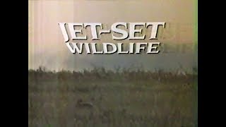 Jet Set Wildlife (1984)