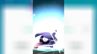 Pokémon go Shellder to Cloyster evolution