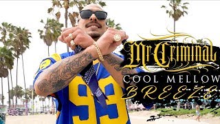 Mr. Criminal - Cool Mellow Breeze