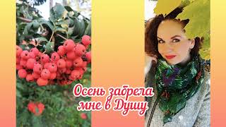 Осень забрела мне в Душу....#моистихи