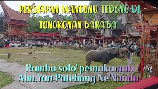 Mantunu tedong mahal sebelum pemakaman adat suku Toraja Rambu solo'Alm.Yan Patebong Ne'Nanda