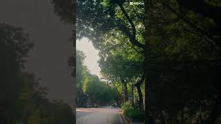 Tạm biệt tháng 7 xin chào tháng 8… #xuhuong #tiktok #capcut #youtubeshorts #cute