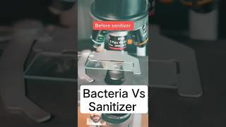 #microscope #microscopics #bacteria bacteria vs sanitizer #sanitizer #microbiology #micro #biology