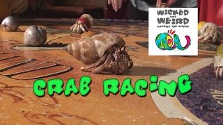 Sydney Crab Races: Wicked and Weird Around World