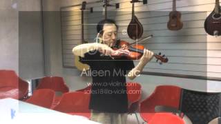 Hot Sale Student Violin(AVL-16-G) from Aileen Music