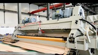 BSY Veneer Peeling and Clipping Machine 2700mm length 480mm diameter