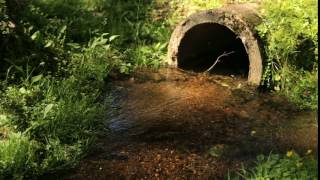 The nature of the river stream tube during the summer