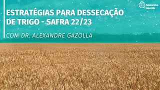 Alexandre Gazolla | Estratégias para Dessecação de Trigo