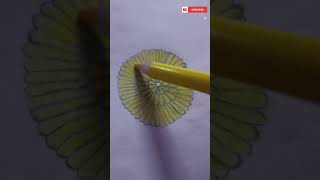 colour pencil flower drawing 💖 #viral #creativitywithaera #drawing #art #shortvideo