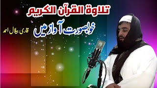 Quran Pak Ki Tilawat | تلاوت قرآن پاک  | Trending Tilawat