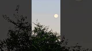 #luna y #carretera de la #campiñacordobesa. #montalban #andalucia #españa.