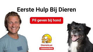 Pil geven aan je hond