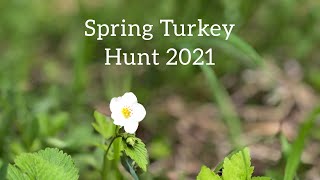 Spring Turkey Hunt 2021