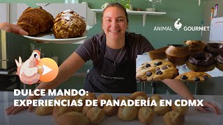 Dulce Mando: Experiencias y talleres de panadería en cdmx