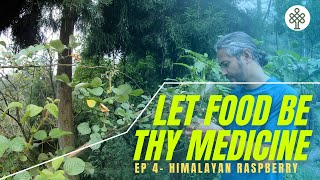 Let food be thy medicine - Himalayan Golden Raspberry |EP 4|