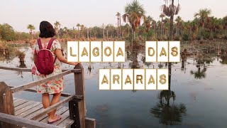 Lagoa das Araras - Bom Jardim | Nobres | MT | Daniele Ferreira | Embarcando na Aventura