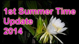 Summer Begins & simple update