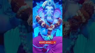 गणपती बप्पा चे आगमन#Ganpati Bappa morya#kokan