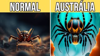 9 MAJESTOSAS Espécies da AUSTRÁLIA!