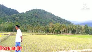 Ngabuburit Puasa hari ke 8 || Sawah lagi kekeringan