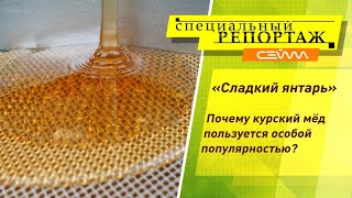 «Специальный репортаж» 2.08.24. Почему курский мёд пользуется особой популярностью?