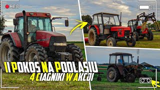 ☆4 CIĄGNIKI NA JEDNYM POLU?!☆2 POKOS NA PODLASIU!☆SIANOKOSY 2020☆CASE, 2x ZETOR, URSUS☆