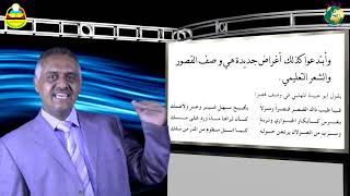 ثاني ثانوي عربي الادب في العصر العباسي الجزء الثاني~1