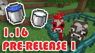 The Pre-Releases Are Here, With Buckets of New Stuff! (Minecraft 1.16 Pre-Release 1)