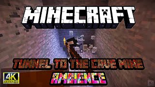 "Minecraft Day 8: Building an Underground Tunnel to the Cave Mine! | Relaxing Ambience & Adventure"