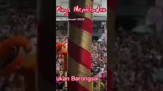 Pertunjukan Barongsai di Depan Pintu Masuk Kings Alun Alun Bandung dipenuhi oleh pengunjung #viral