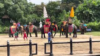 The history of Elephants in Thailand