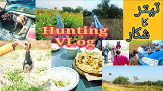 Hunting Vlog Teetar ka Shikar Video1 Session2022_2023 partridges Hunting In Pakistan Black Francolin