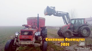 Codzienne Obowiązki 2021