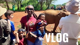 Vlog: A visit to DAVID SHELDRICK WILDLIFE TRUST. An ELEPHANT ORPHANAGE in Nairobi Kenya 🇰🇪