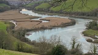 Sharpham Spring time by Jane Knight