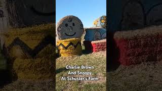 Charlie Brown And Snoopy At Schuster's Farm